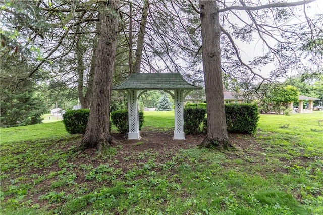 240 Connellsville St, Dunbar, PA 15431 - view of green lawn