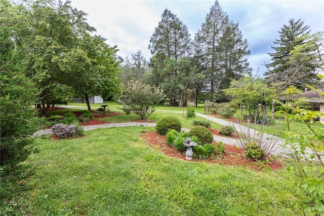 240 Connellsville St, Dunbar, PA 15431 - view of grassy yard