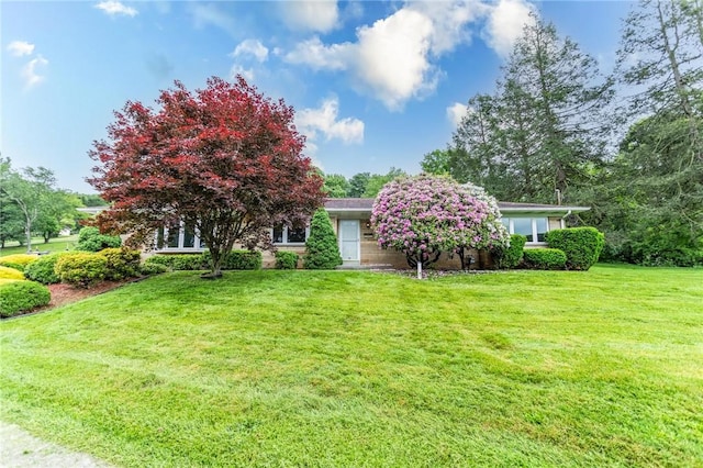 240 Connellsville St, Dunbar, PA 15431 - obstructed view of property featuring a front lawn