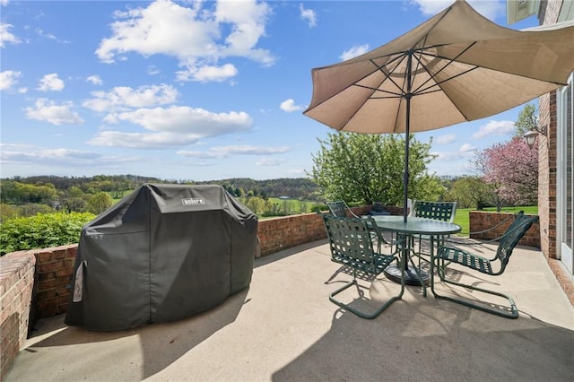 805 Saddleback Ct, Hempfield Twp Wml, PA 15601 - view of patio / terrace with outdoor dining space and grilling area