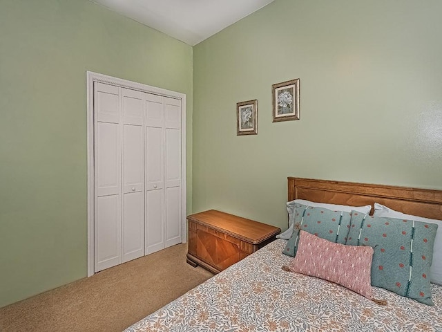 1646 Millers Run Rd, Mount Pleasant Twp Was, PA 15057 - bedroom with carpet and a closet