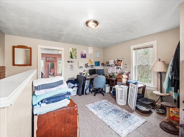 7641 Big Beaver Blvd, Big Beaver, PA 16157 - office featuring carpet flooring and a textured ceiling
