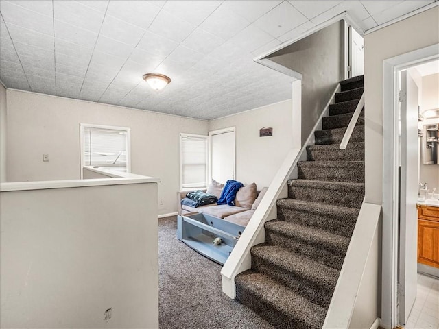 7641 Big Beaver Blvd, Big Beaver, PA 16157 - stairs featuring carpet floors