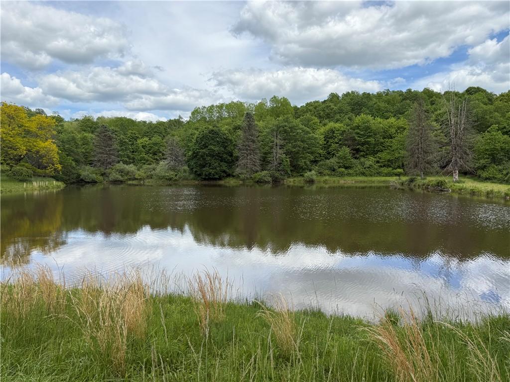 574 Receski Rd, Rayne Twp/Ernest, PA 15701 - photo 2