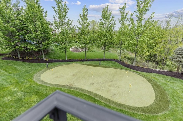317 Buckingham Dr, Peters Twp, PA 15367 - surrounding community with an area to practice putting and a lawn