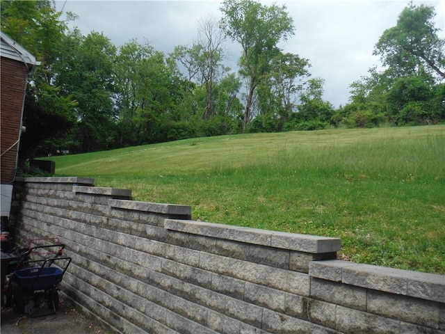1260 Fox Chapel Rd, Fox Chapel, PA 15238 - view of yard