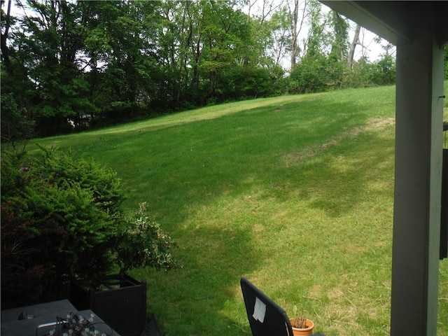 1260 Fox Chapel Rd, Fox Chapel, PA 15238 - view of grassy yard