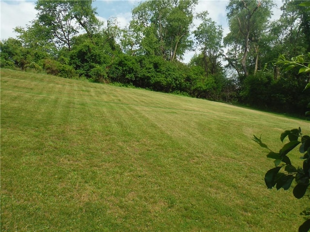1260 Fox Chapel Rd, Fox Chapel, PA 15238 - view of green lawn