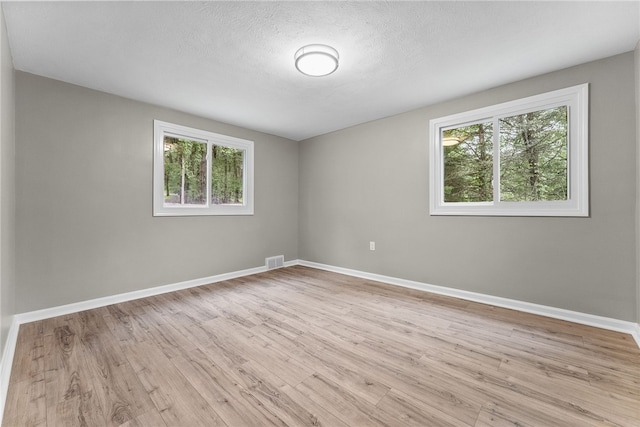 100 Old Legionville Rd, Economy, PA 15005 - unfurnished room featuring healthy amount of natural light, light wood-style floors, baseboards, and a textured ceiling