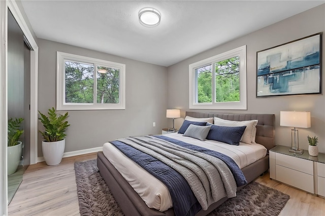 100 Old Legionville Rd, Economy, PA 15005 - bedroom with light wood-type flooring, baseboards, and a closet