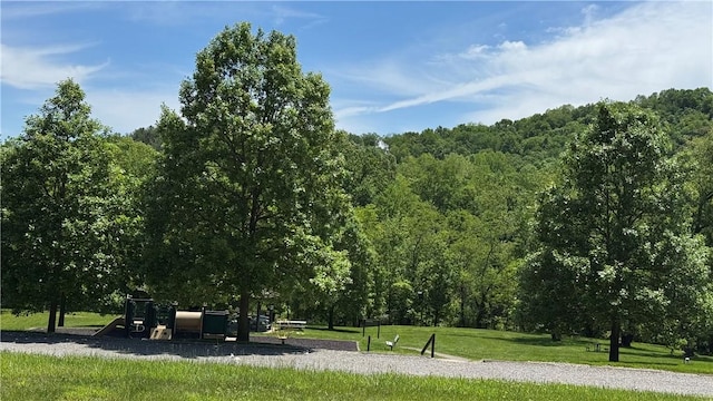 148 Rummel Rd, Bethel Twp, PA 16226 - view of home's community with a yard and a forest view