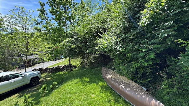 148 Rummel Rd, Bethel Twp, PA 16226 - view of yard