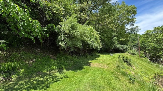 148 Rummel Rd, Bethel Twp, PA 16226 - view of grassy yard featuring a wooded view