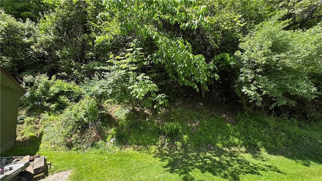 148 Rummel Rd, Bethel Twp, PA 16226 - view of grassy yard with a view of trees