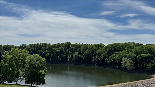 148 Rummel Rd, Bethel Twp, PA 16226 - water view with a heavily wooded area