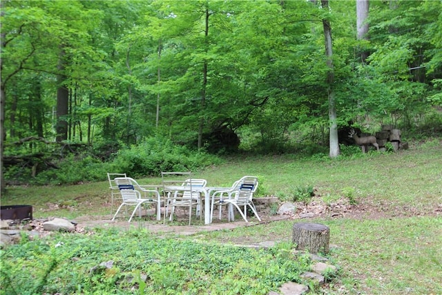 116 Camp Ln, Ligonier Twp, PA 15658 - view of yard with a forest view