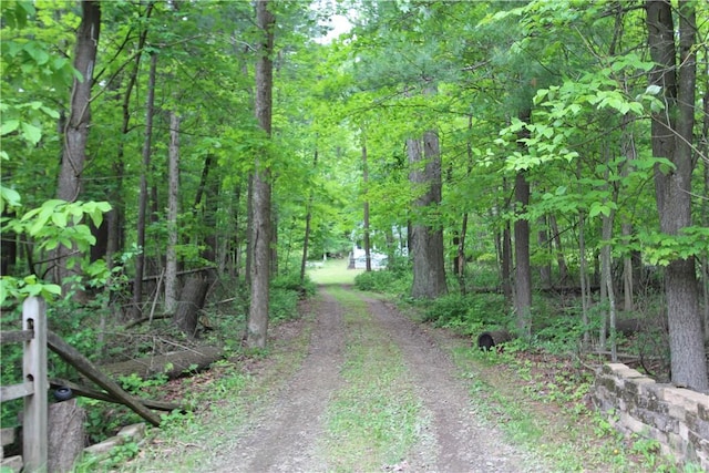 116 Camp Ln, Ligonier Twp, PA 15658 - view of dirt / gravel road featuring a view of trees