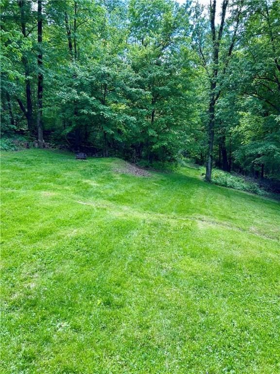 4426 Ellwood Rd, Wayne Twp Law, PA 16101 - view of green lawn featuring a view of trees