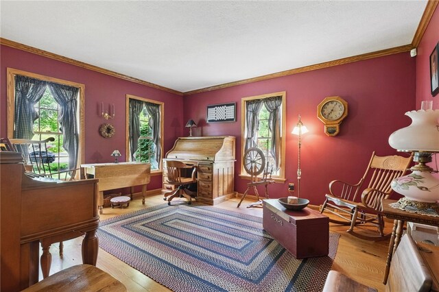 150 Greenfield Rd, Neshannock Twp, PA 16105 - living area with healthy amount of natural light, wood finished floors, ornamental molding, baseboards, and a desk