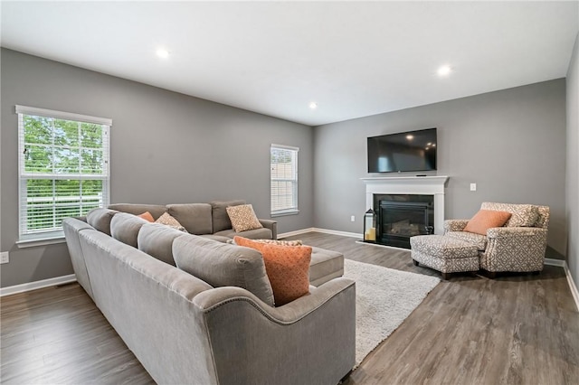 3017 Pelican Dr, Middlesex Twp, PA 16059 - living area with wood finished floors, baseboards, a glass covered fireplace, and recessed lighting