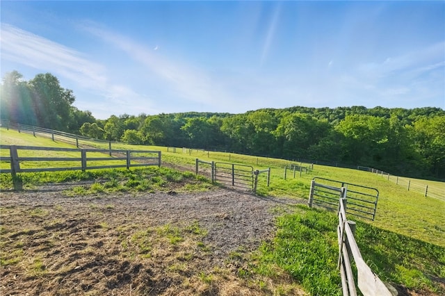 3405 Grandview Rd, Perry Twp Law, PA 16117 - view of yard with a rural view and a forest view