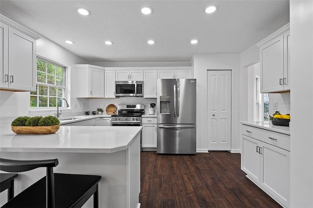 153 Birchwood Way, Irwin, PA 15642 - kitchen with appliances with stainless steel finishes, a peninsula, recessed lighting, dark wood-style floors, and a sink