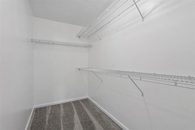 153 Birchwood Way, Irwin, PA 15642 - spacious closet with carpet floors