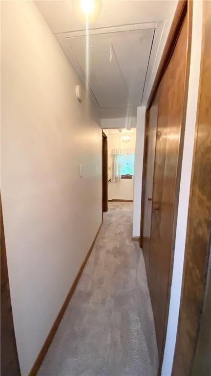 1303 Forest Ave, New Kensington, PA 15068 - corridor with attic access, light colored carpet, and baseboards
