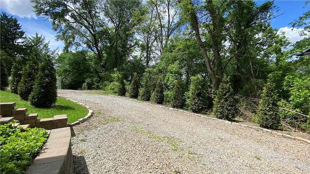 1303 Forest Ave, New Kensington, PA 15068 - view of dirt / gravel road
