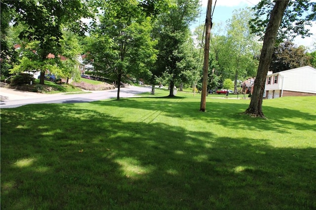 5827 Kings School Rd, Bethel Park, PA 15102 - view of green lawn