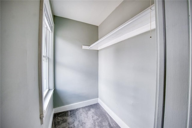 1204 Cambridge St, Natrona Hts/Harrison Twp, PA 15065 - walk in closet featuring carpet floors