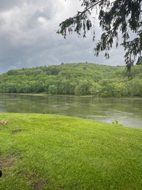 224 Camp Rd, Clarion, PA 16353 - photo 27