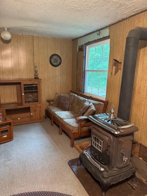224 Camp Rd, Clarion, PA 16353 - photo 4
