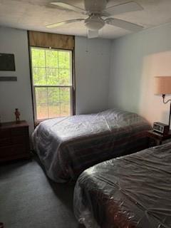224 Camp Rd, Clarion, PA 16353 - photo 10