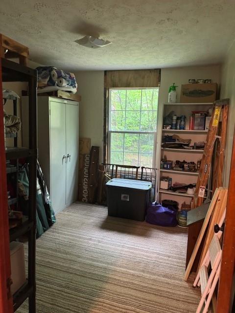 224 Camp Rd, Clarion, PA 16353 - photo 12