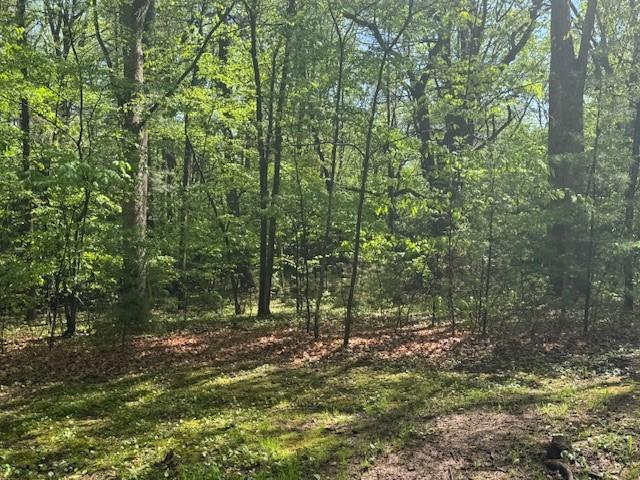 224 Camp Rd, Clarion, PA 16353 - photo 20