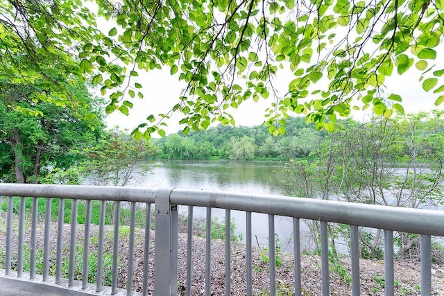 1099 Riverside Dr Unit H, Bridgewater, PA 15009 - water view featuring a forest