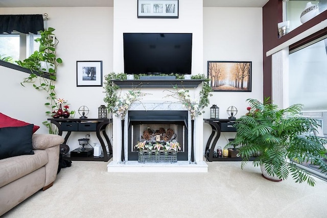 1099 Riverside Dr Unit H, Bridgewater, PA 15009 - living area with carpet and a fireplace