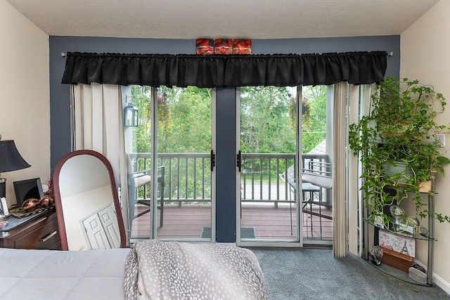 1099 Riverside Dr Unit H, Bridgewater, PA 15009 - carpeted bedroom featuring access to outside and multiple windows