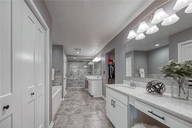 8 Pony Ct, Findlay Twp, PA 15126 - bathroom with a shower stall, vanity, a garden tub, and a spacious closet