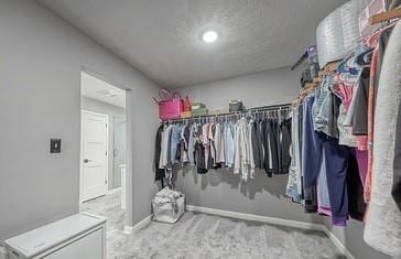 8 Pony Ct, Findlay Twp, PA 15126 - walk in closet with carpet flooring