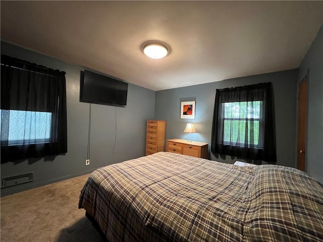937 Freeport Rd, Natrona Hts/Harrison Twp, PA 15065 - bedroom with carpet flooring