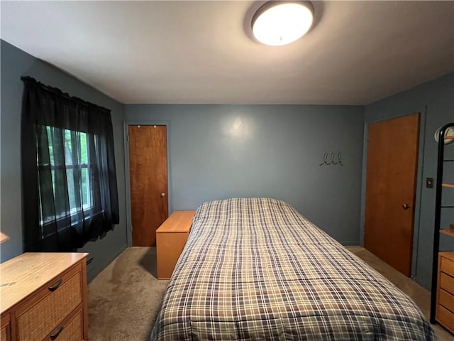 937 Freeport Rd, Natrona Hts/Harrison Twp, PA 15065 - carpeted bedroom with a closet