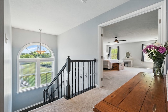 1340 Diamond Ct, Upper St Clair, PA 15241 - hall with carpet floors, an upstairs landing, and baseboards