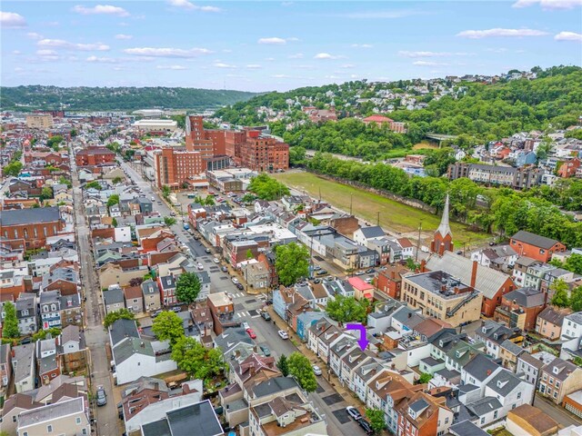 1816 Jane, South Side, PA 15203 - bird's eye view