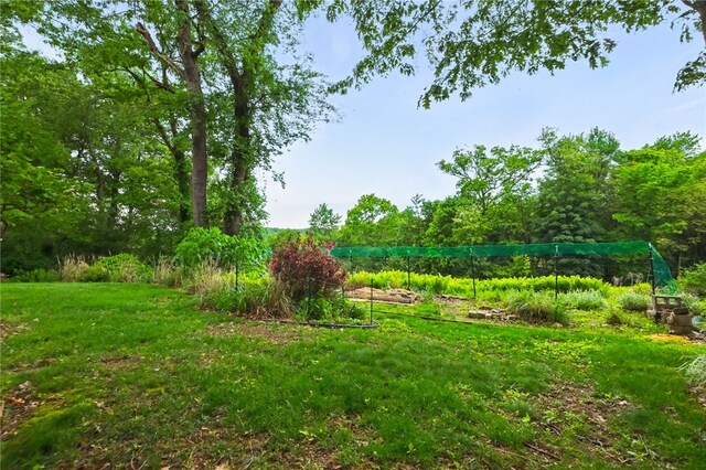 306 Tadmar Ave, Ross Twp, PA 15237 - view of grassy yard