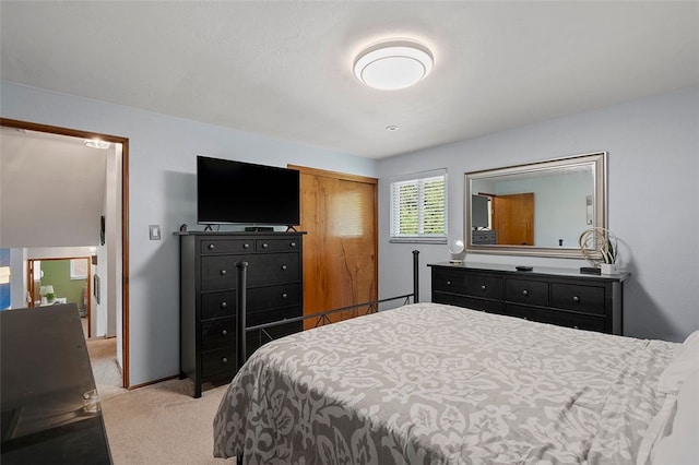 1426 Raven Dr, Pittsburgh, PA 15243 - bedroom featuring carpet flooring and a closet