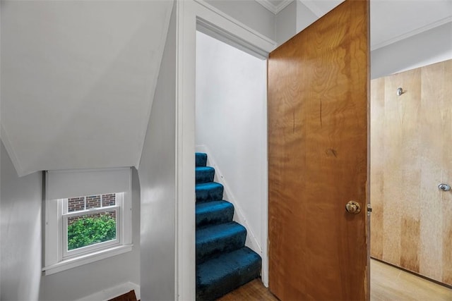 446 S Dallas Ave, Point Breeze, PA 15208 - staircase with wood finished floors, baseboards, and ornamental molding