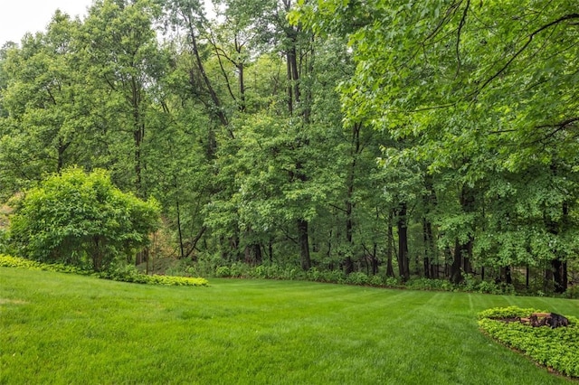 104 Southridge Dr, Cranberry Twp, PA 16066 - view of green lawn featuring a wooded view