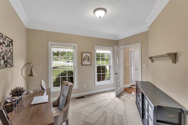 104 Southridge Dr, Cranberry Twp, PA 16066 - office featuring ornamental molding, carpet flooring, and baseboards